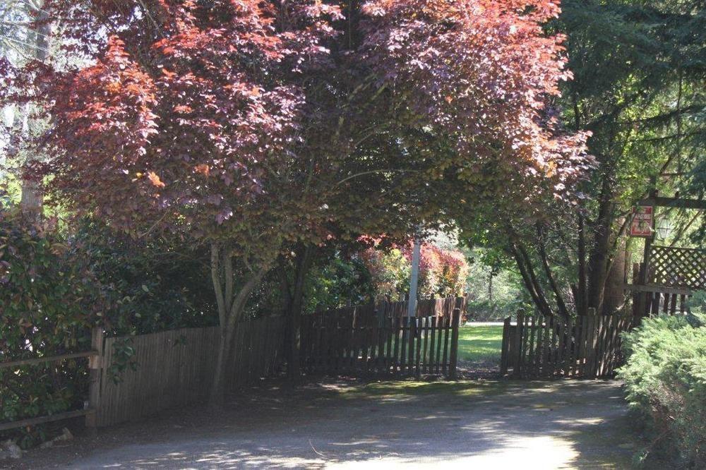 Jayes Timberlane Resort 벤로몬드 외부 사진